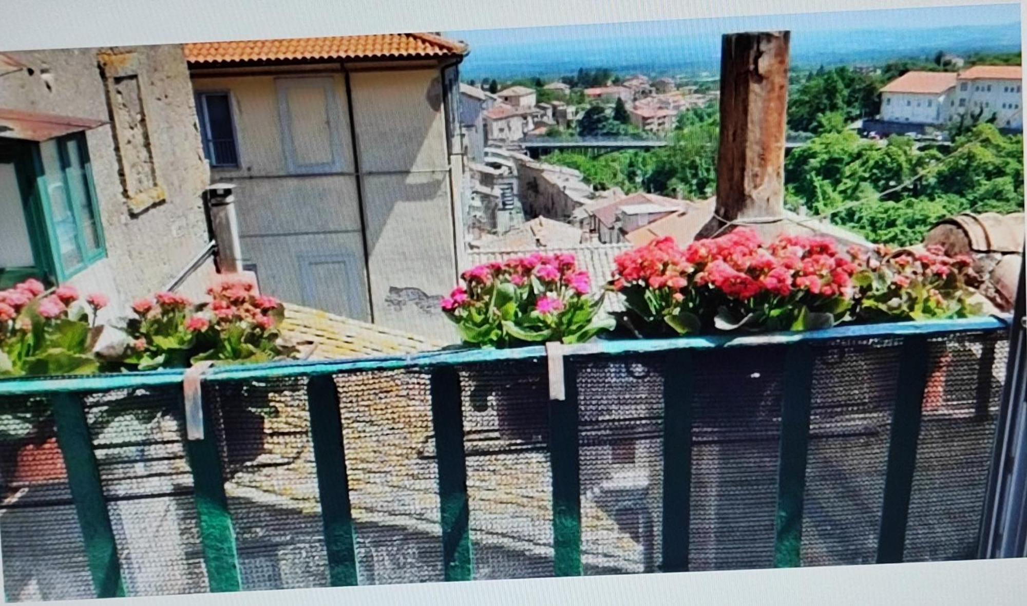 Ferienwohnung La Casa Del Sole Caprarola Exterior foto